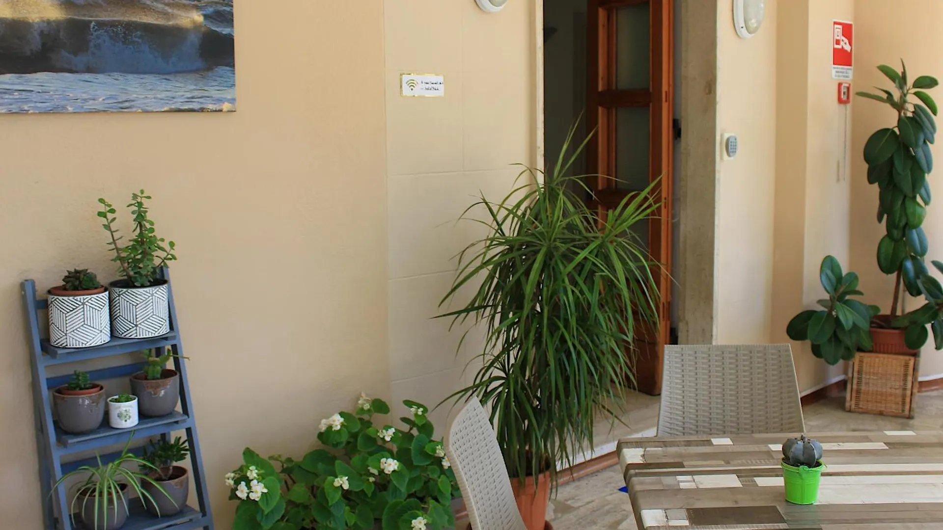 Hotel Puccinelli Lido di Camaiore