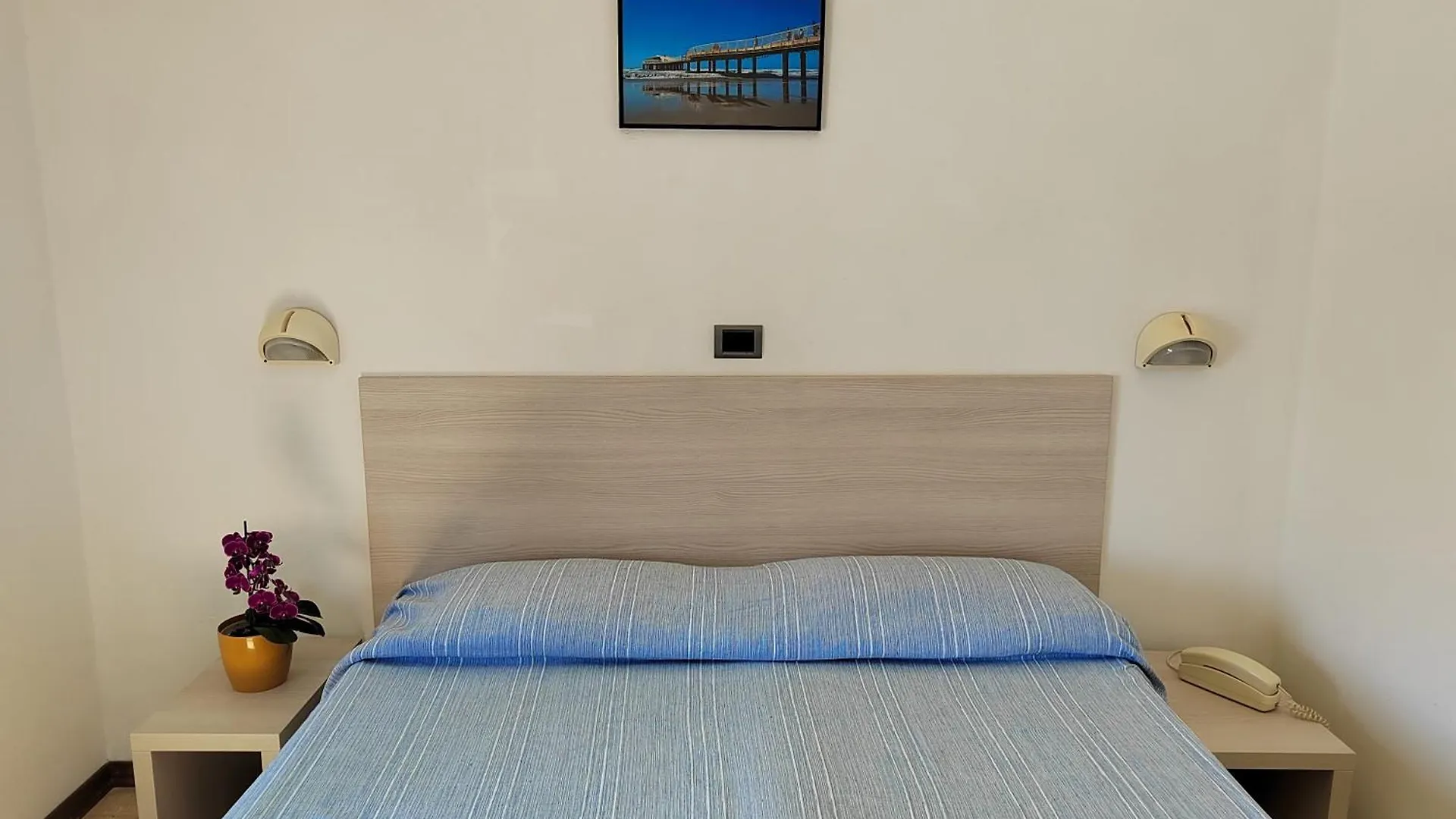 Hotel Puccinelli 利多迪卡马约雷