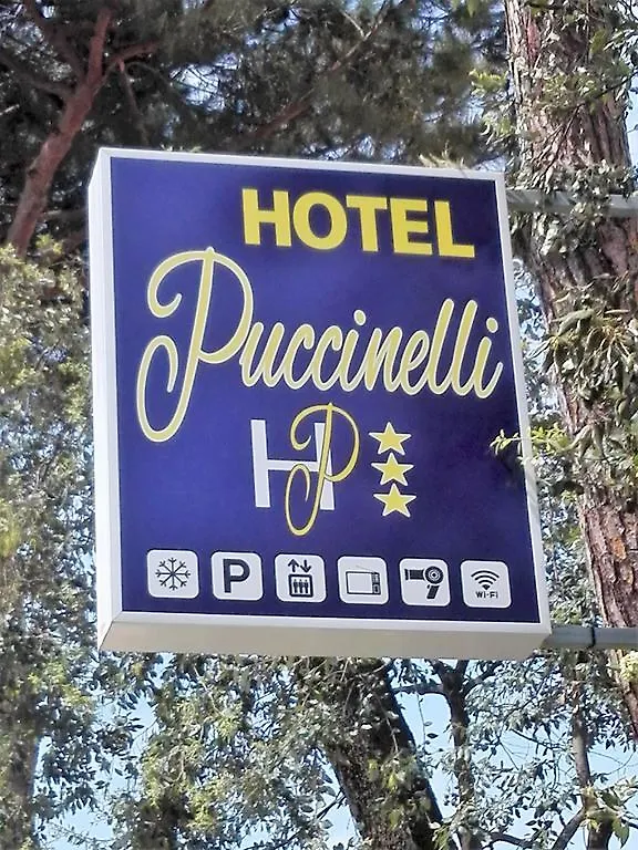 Hotel Puccinelli 利多迪卡马约雷 3*,